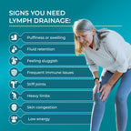 PUREHEALTH RESEARCH Lymph System Support - Lymphatic Drainage Supplement for Women & Men - Bromelain, Echinacea, Dandelion, Burdock Root, Lemon Powder, Kelp, Cleavers & More - 60 Capsules