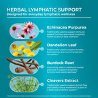 PUREHEALTH RESEARCH Lymph System Support - Lymphatic Drainage Supplement for Women & Men - Bromelain, Echinacea, Dandelion, Burdock Root, Lemon Powder, Kelp, Cleavers & More - 60 Capsules